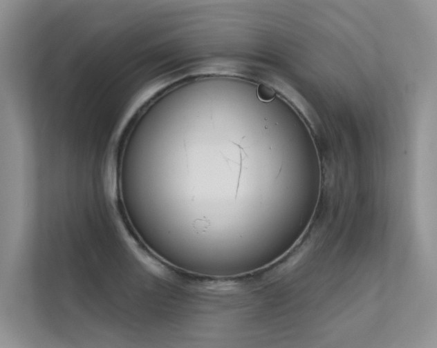 X0000111611131200907171218