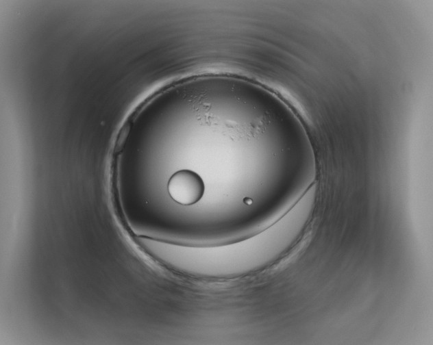 X0000111611134200907171219