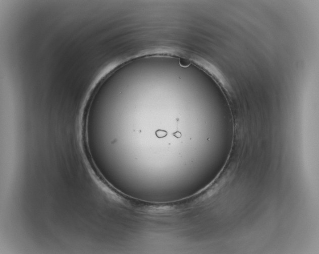 X0000111611135200907171219