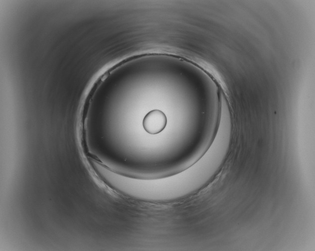 X0000111611136200907171219