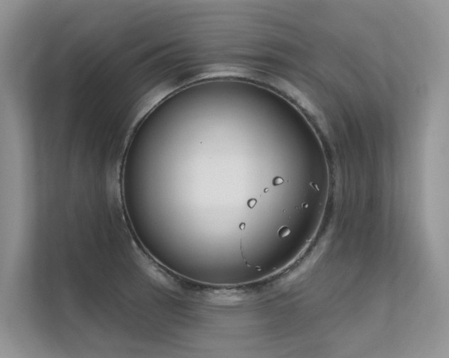 X0000111611137200907171219