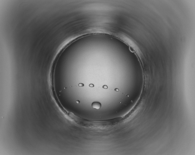 X0000111611141200907171219