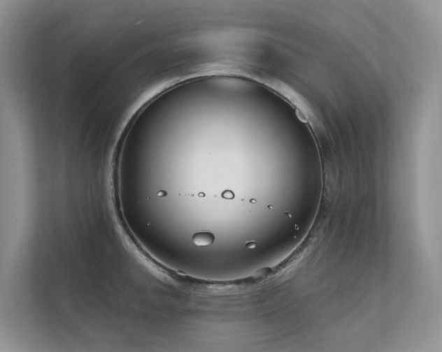X0000111611142200907171219