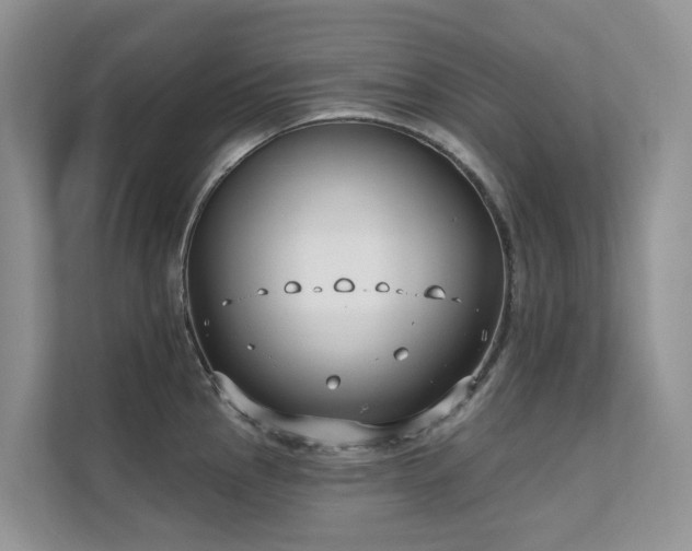 X0000111611145200907171219