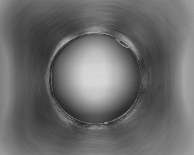 X0000111611146200907171219