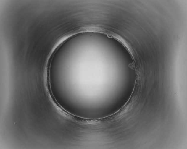 X0000111611147200907171219