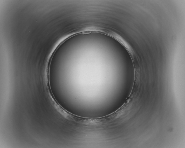 X0000111611148200907171219