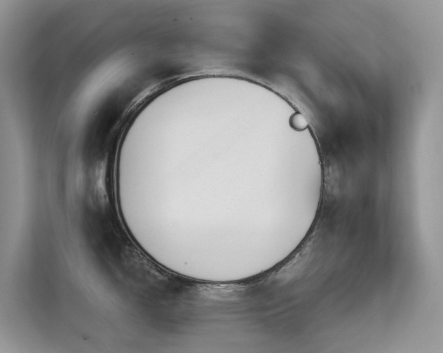 X0000111611150200907171219