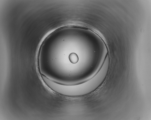 X0000111611152200907171219