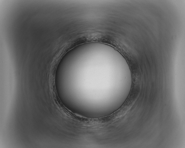 X0000111611153200907171218