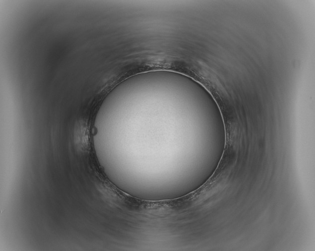 X0000111611154200907171218