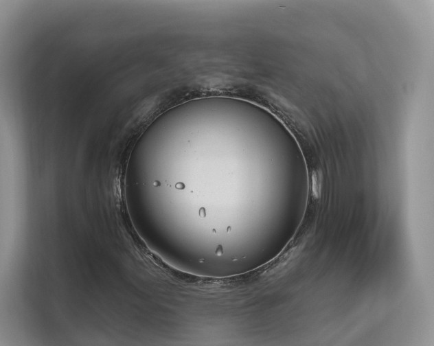 X0000111611155200907171218