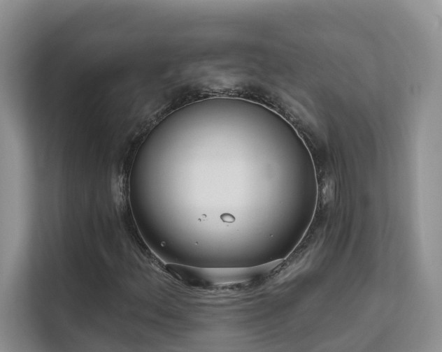 X0000111611156200907171218