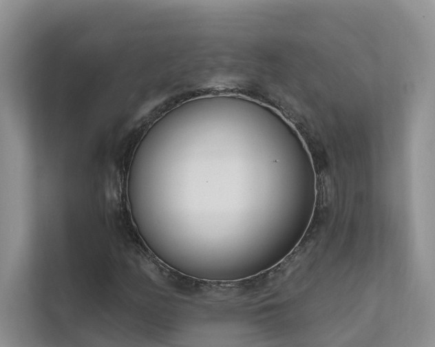 X0000111611158200907171218