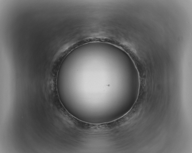 X0000111611159200907171218