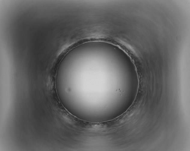 X0000111611160200907171218