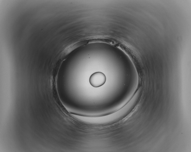 X0000111611161200907171218