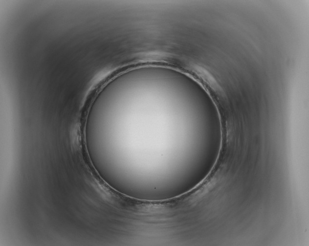 X0000111611164200907171218