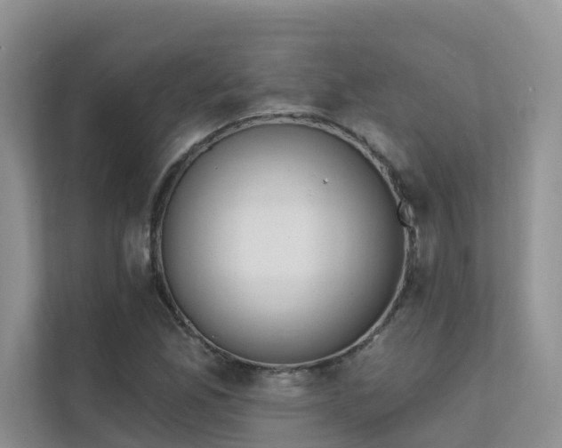 X0000111611165200907171218
