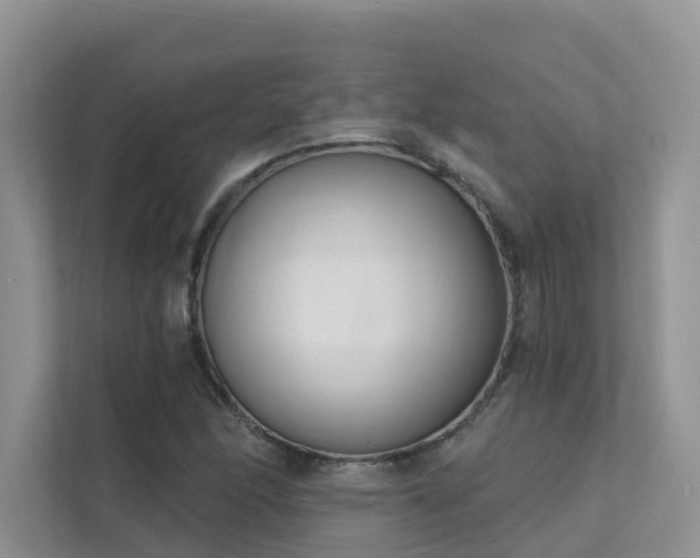 X0000111611166200907171218