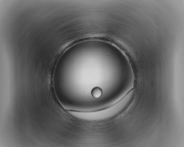 X0000111611169200907171218
