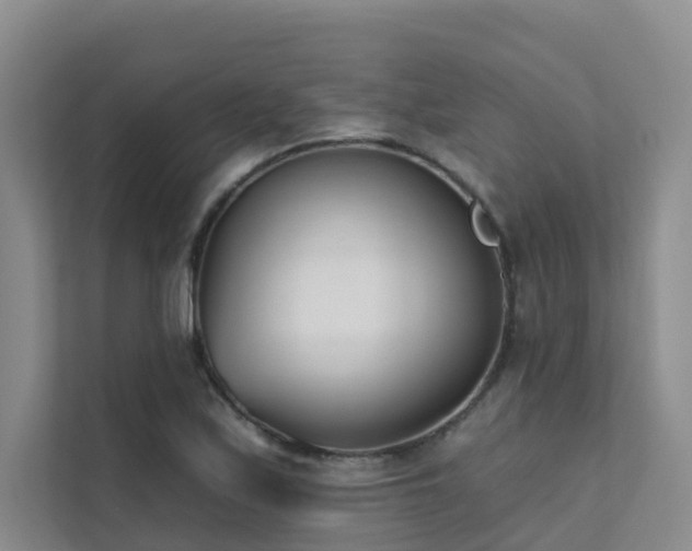 X0000111611171200907171218