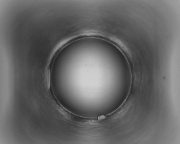 X0000111611175200907171218