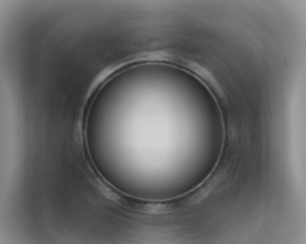 X0000111611176200907171218