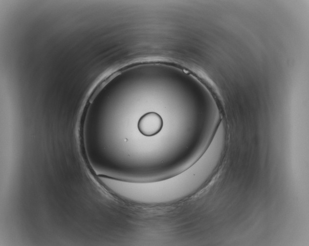 X0000111611181200907171218