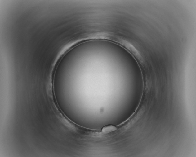X0000111611184200907171218