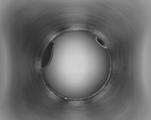 X0000111611185200907171218