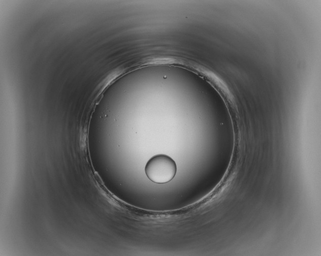 X0000111611193200907171218
