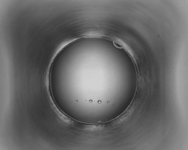 X0000111611195200907171218