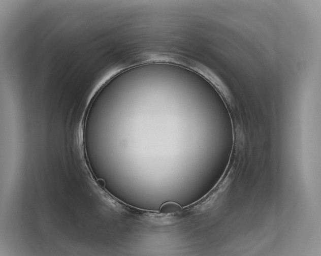 X0000111611198200907171218