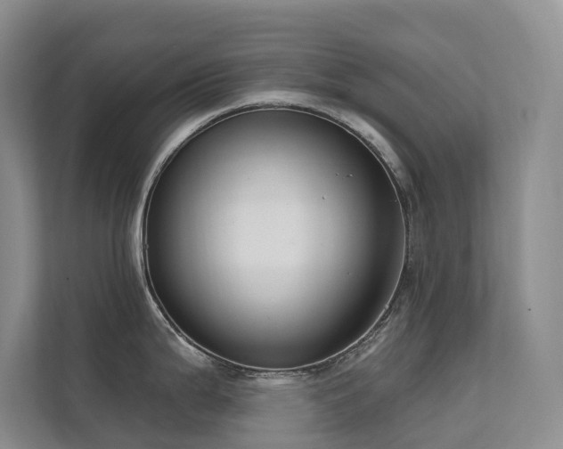X0000111611199200907171218