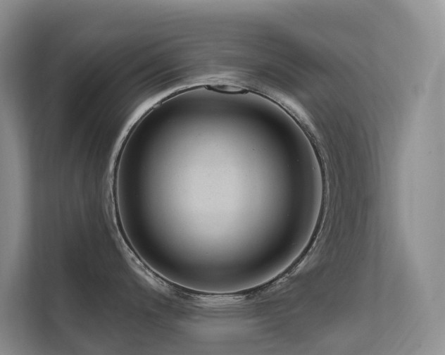 X0000111611200200907171218