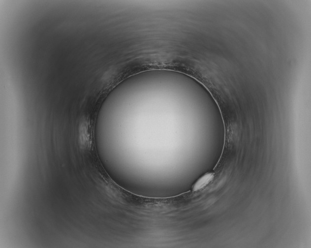 X0000111611202200907171217