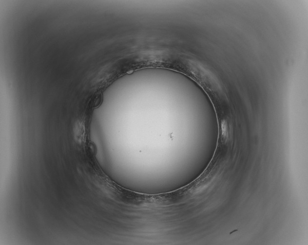 X0000111611203200907171217