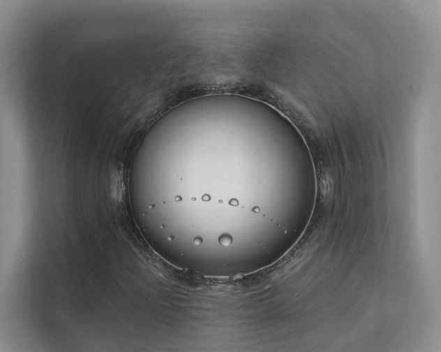 X0000111611204200907171217