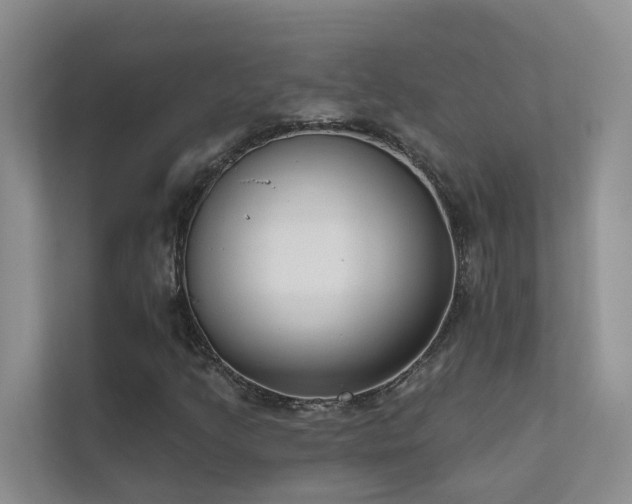 X0000111611205200907171217