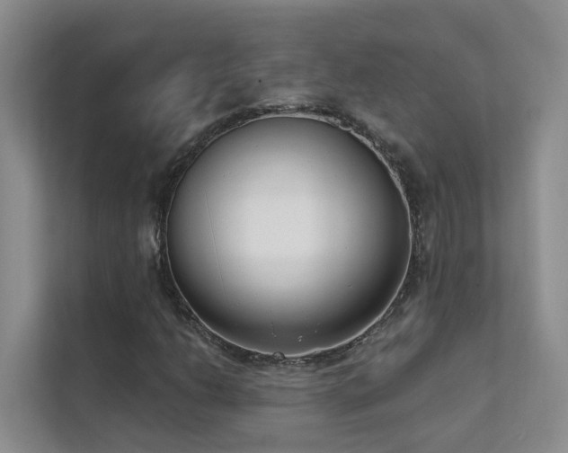 X0000111611206200907171217