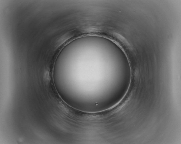 X0000111611209200907171217