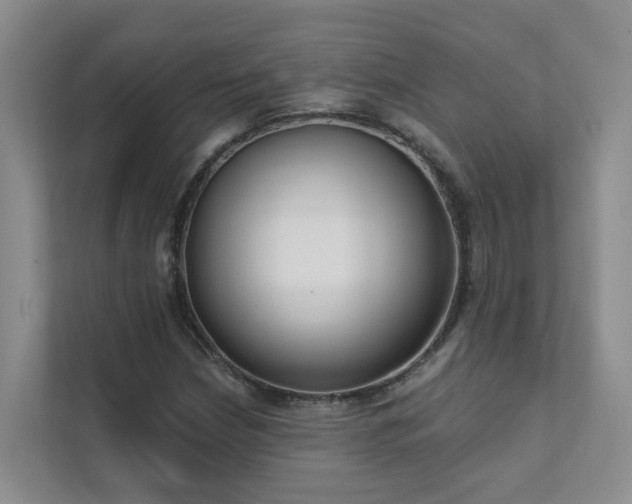 X0000111611210200907171217