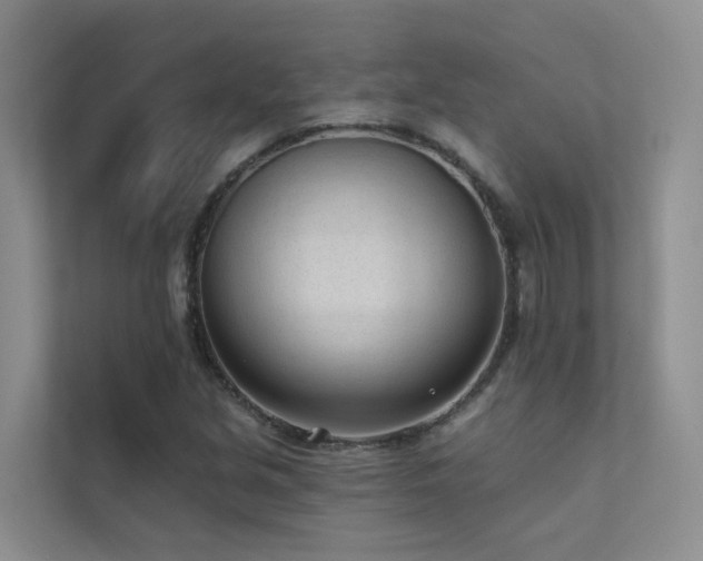 X0000111611213200907171217