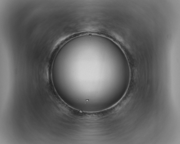 X0000111611214200907171217