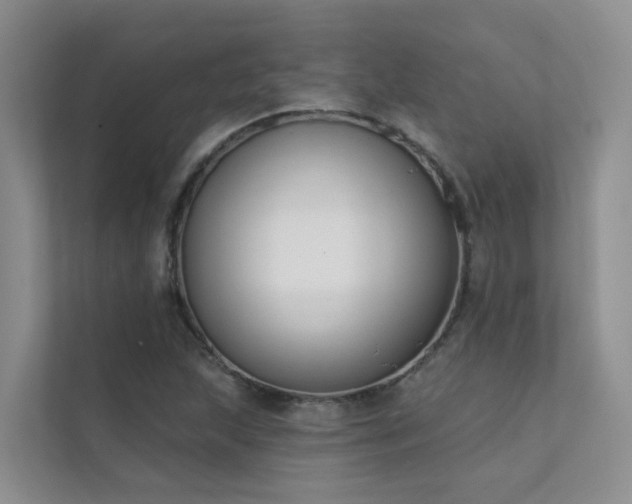 X0000111611215200907171217