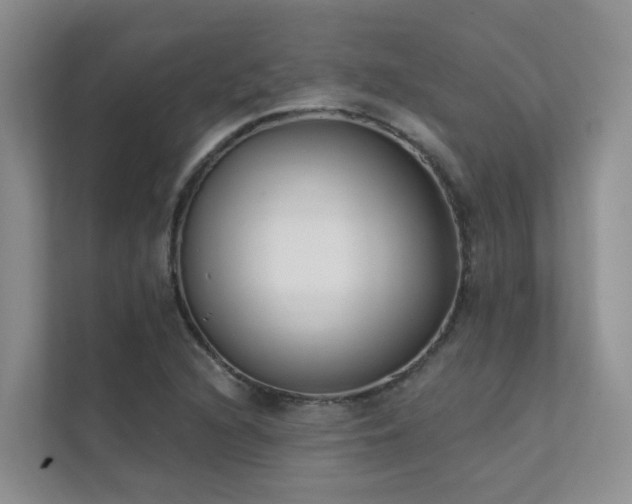 X0000111611216200907171217