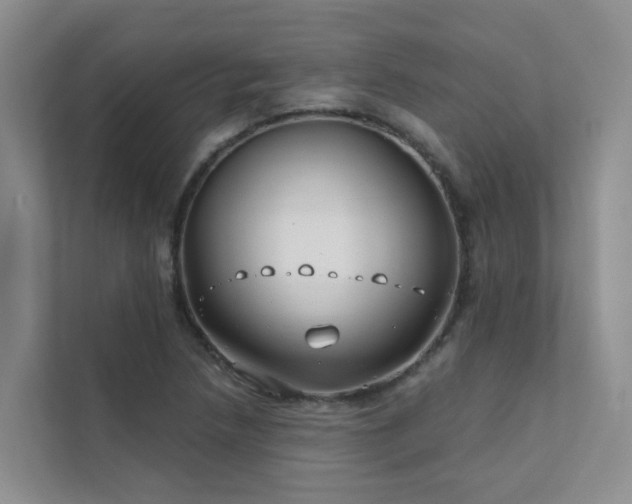 X0000111611218200907171217