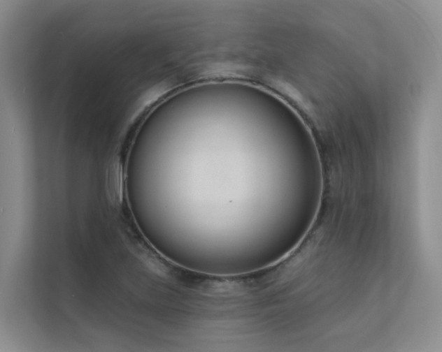 X0000111611219200907171217