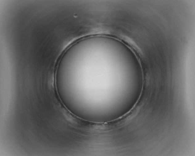 X0000111611220200907171217